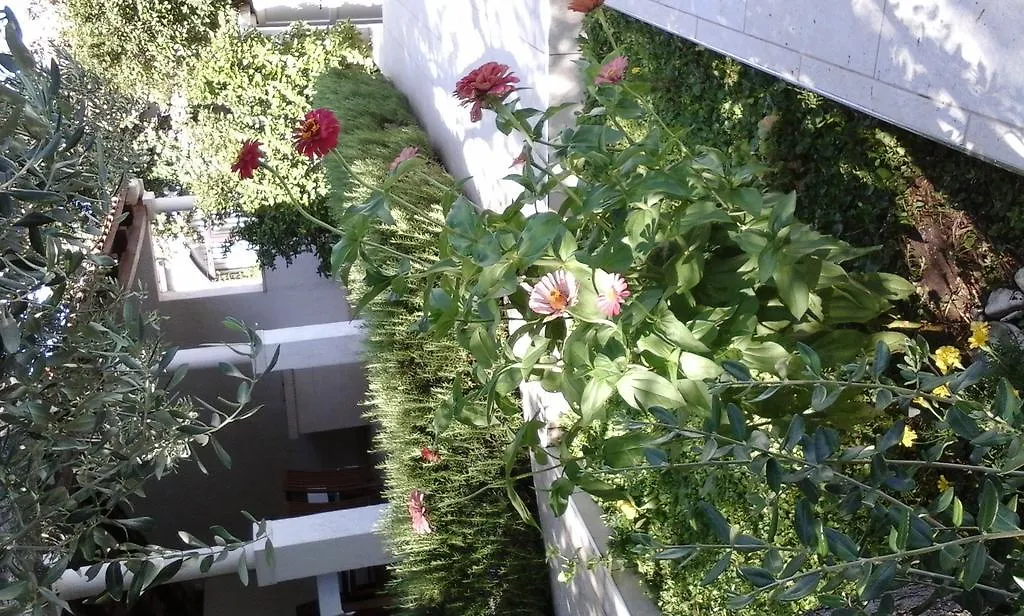 Apartment Villa Donadini Trogir Croatia